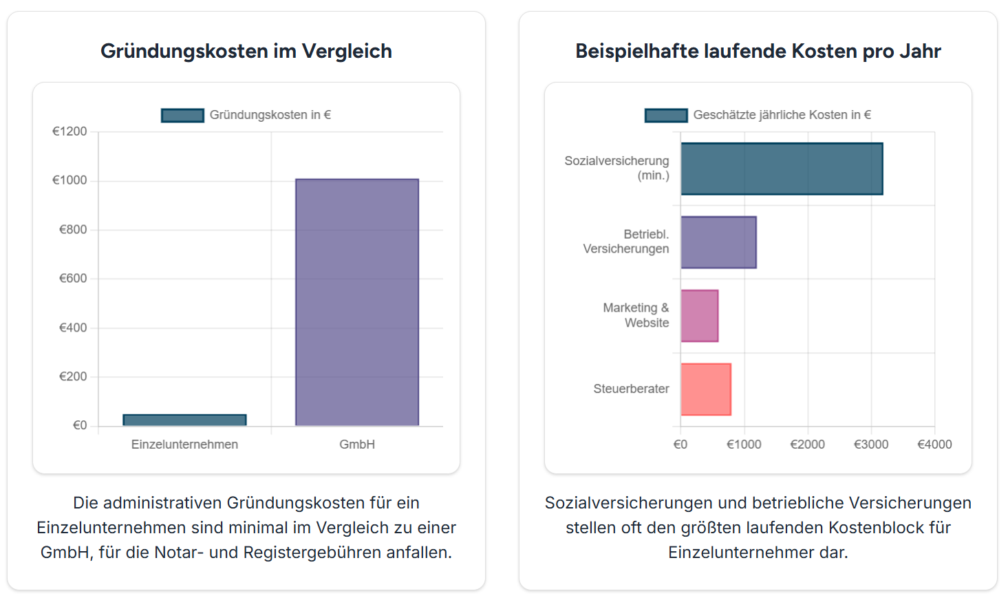 Infografik: Kosten für Einzelunternehmen