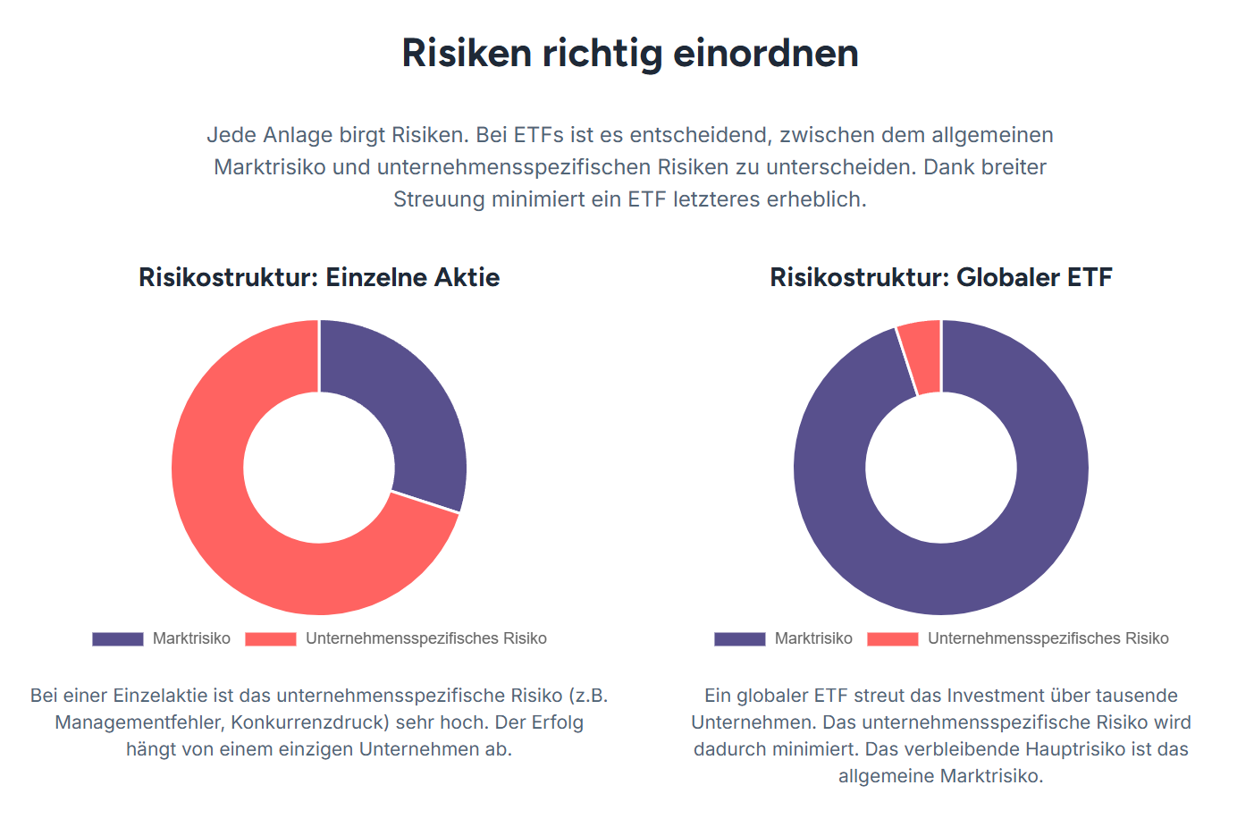 Risikostruktur: Einzelne Aktie vs. Globaler ETF